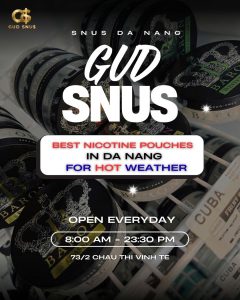 Looking for the best nicotine pouches in Da Nang? Explore refreshing mint flavors, slim nicotine pouches, beginner-friendly options, and useful tips for hot weather in Vietnam.
