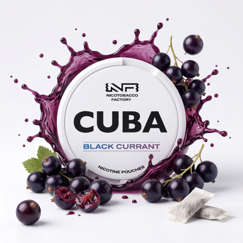 Snus CUBA White Black Currant