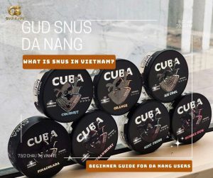 What Is Snus in Vietnam? Discover a beginner-friendly guide to snus, nicotine pouches, flavors, and modern snus lifestyle trends in Da Nang and Vietnam.