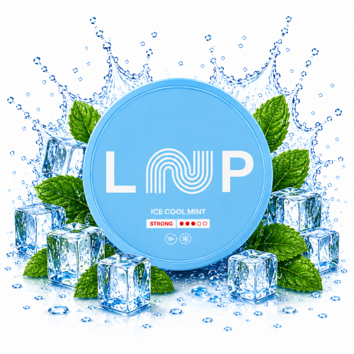 Loop Ice Cool Mint