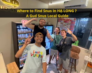 Explore snus and nicotine pouches in Hạ Long, with 16 popular brands, flavor profiles, nicotine strengths and information on finding specialist retailers.